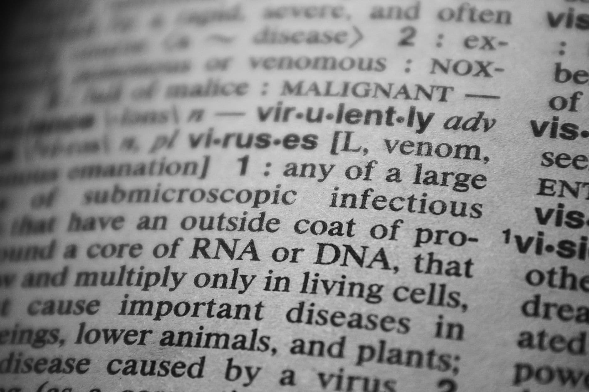 Página de texto em inglês com palavras destacadas